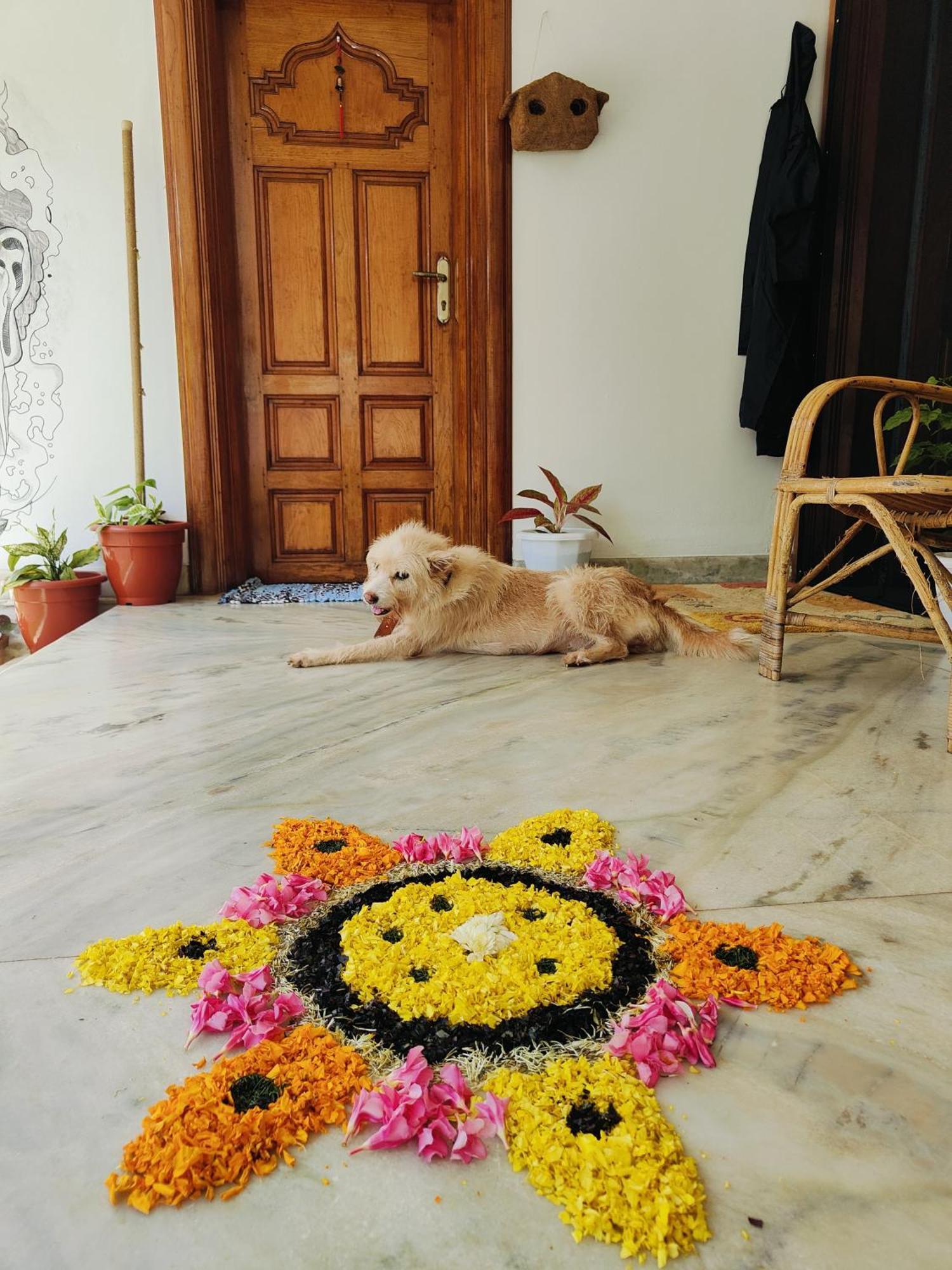 Shamak Homestay Varkala Ngoại thất bức ảnh